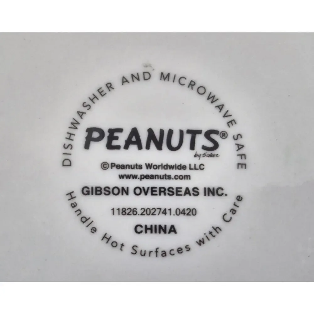 Gibson Peanuts SNOOPY Suppertime Ceramic Pet Food Dish 5.25x2